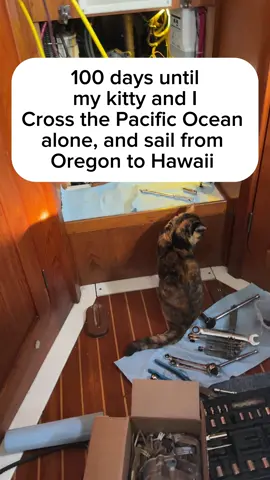 In 100 days! I will be crossing an ocean! #sailinglife #sailing #fyp #dream #solosailing 