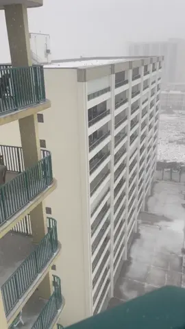 #snowing #florida #destinflorida 🥶🥶🤭 Snow in Florida!                               Historic snowstorm in progress. 