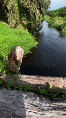 Amoyy sayangg🗿.#tiktok #fyp 