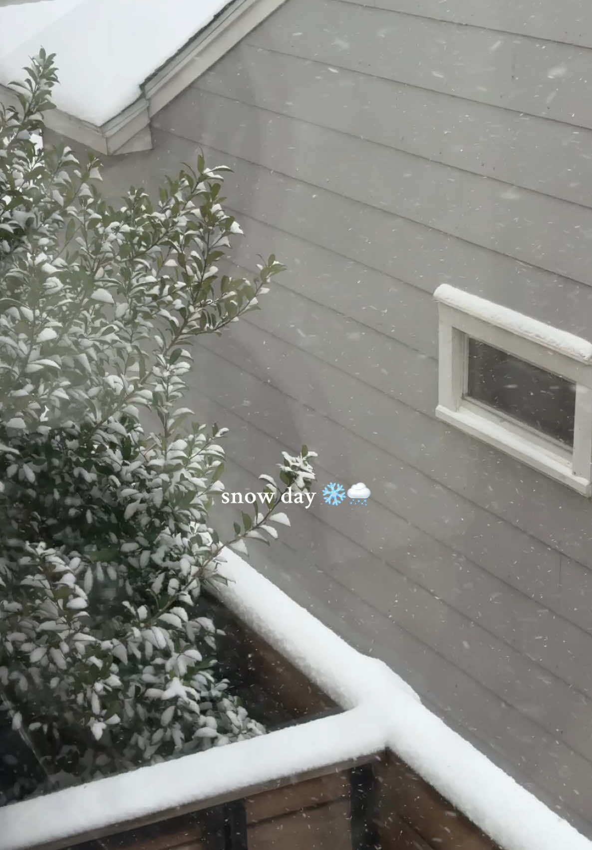 a cozy snow day 