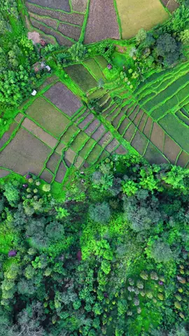 Surga berada di bawah kaki kita dan juga di atas kepala kita 🧚‍♂️ • #AerialShot #DroneView #Kisol #Matim 