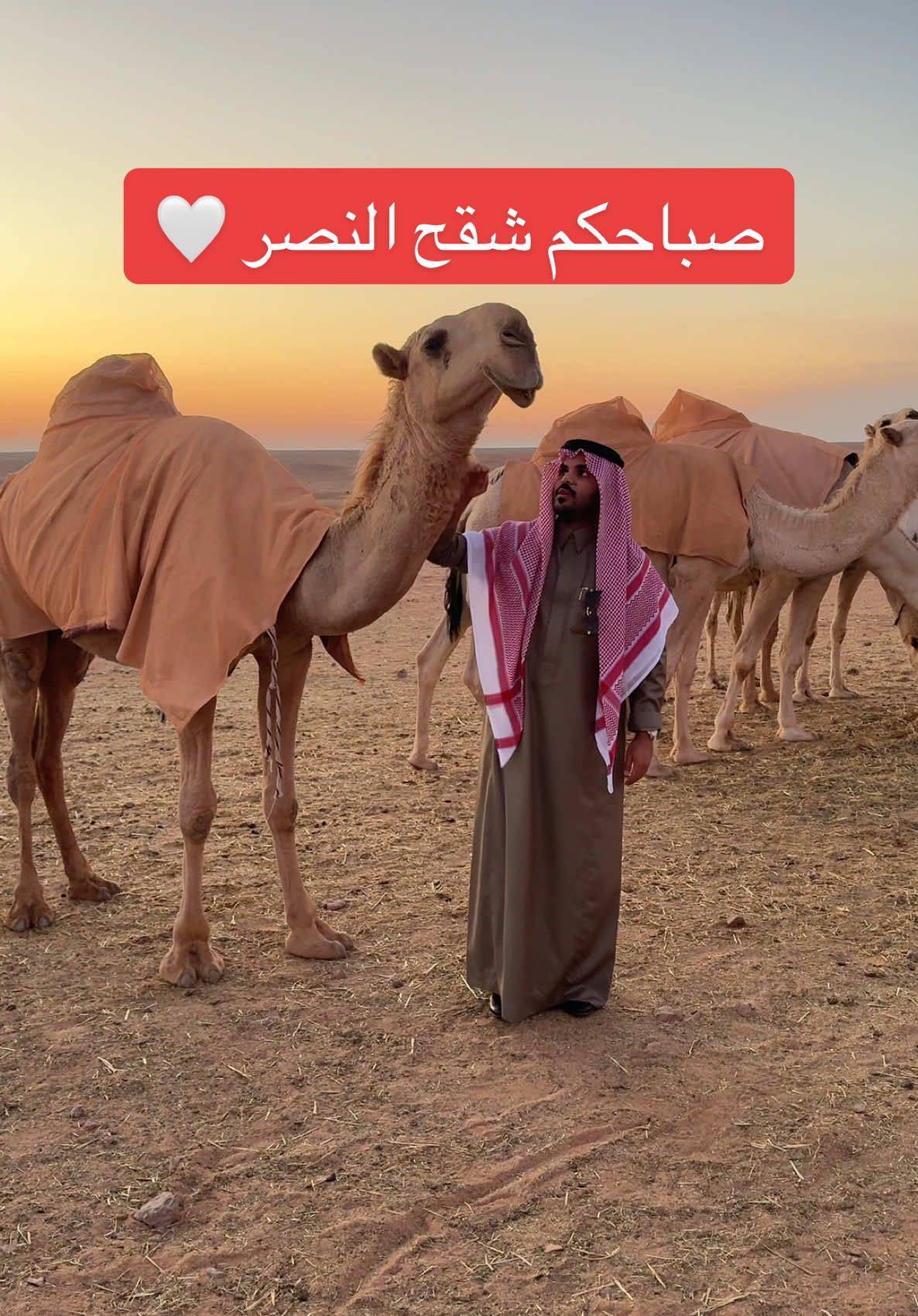 أصبحنا وأصبح الملگ لله عز وجل 🤍 #غازي_الذيابي #شقح_النصر 