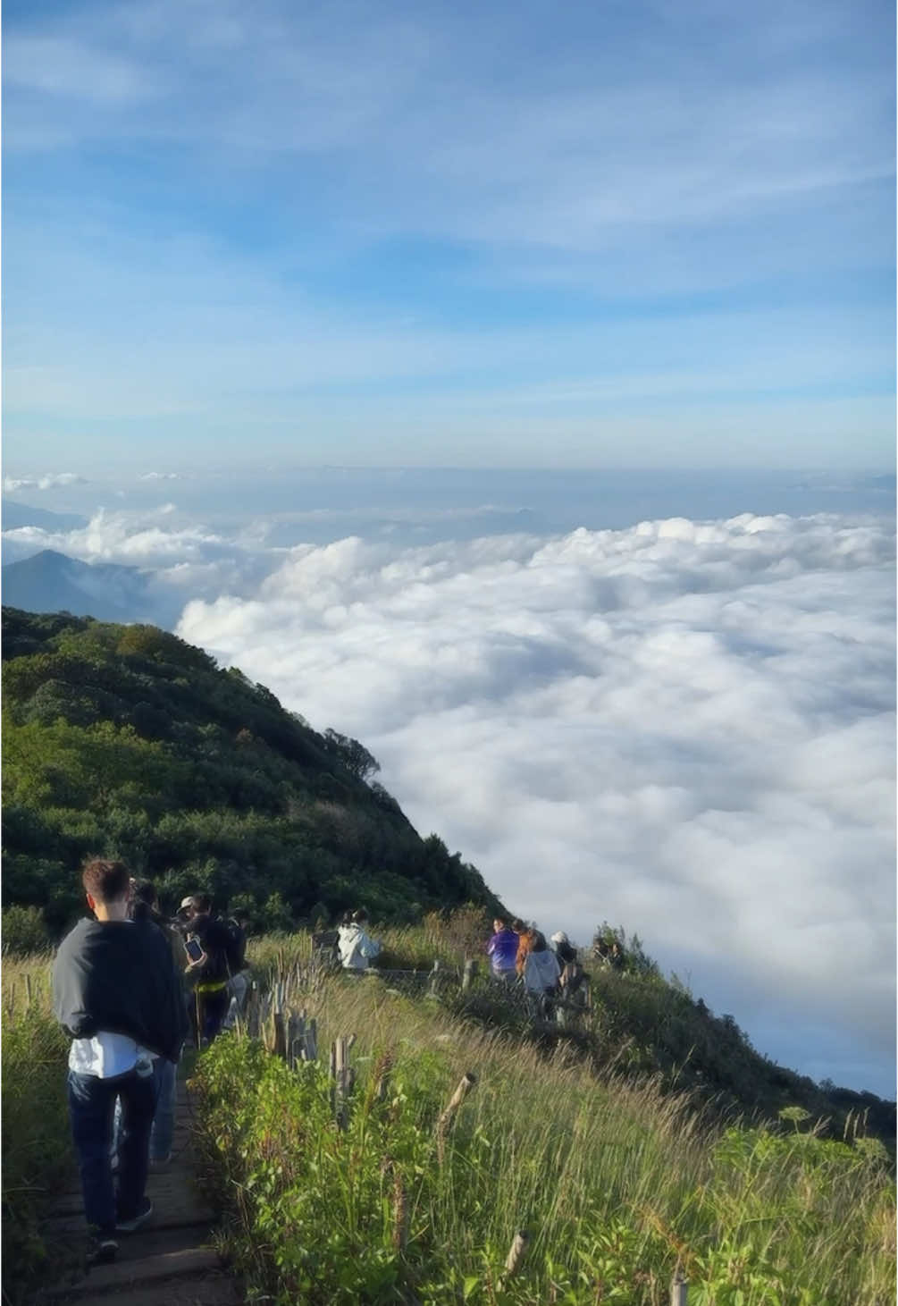 เหมือนไม่มีอยู่จริง ☁️ #เชียงใหม่ #ดอยอินทนนท์ #กิ่วแม่ปาน #ทะเลหมอก 