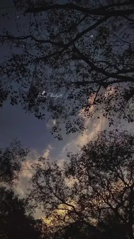 #CapCut #فلربما_اتسع_المضيق_وربما_ضاق_الفضا #انشودة_من_أجمل_الأناشيد #videoviral #fyp #لايك #اكسبلورexplore #findeaño #explore #اكتب_شي_توجر_عليه #قوالب_كاب_كات_جاهزه_للتصميم 