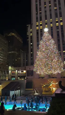 only in new york 🗽 #newyork #newyorkcity #newyorkcitylife #winter #tree #rockefellerchristmastree #rockefellercenter #christmastree #inagurationday #trump #trumptowers #nyc #nyclife #nycrandomness #nyctiktok #nyctok #newyorktok 
