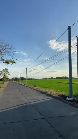 4pm in province #lifeinprovince #province #nuevaecija #vibes #peacefull #nature 