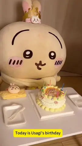 Happy 6th Birthday Usagi Baby#chiikawa #usagi #cool #cute #plush #plush 