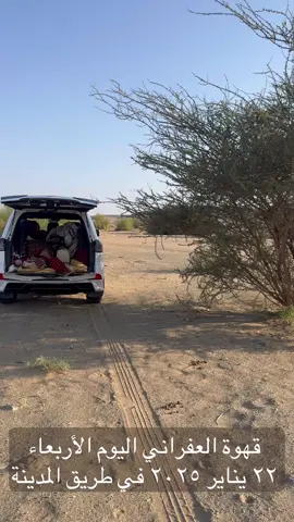 يالعين كفي من الدموع الشخاتير 