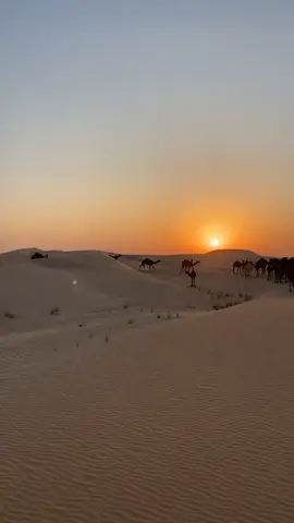 #كسبلور 