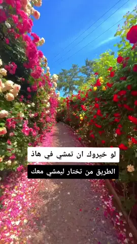 #عبارات #عباراتكم #مشاعركم_هنا 