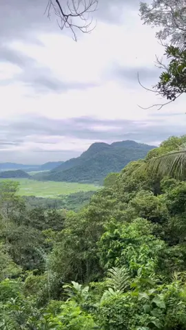 Adem yaa  #netizenserang #kabserang #mancak  #gunungsari #waringinkurung 