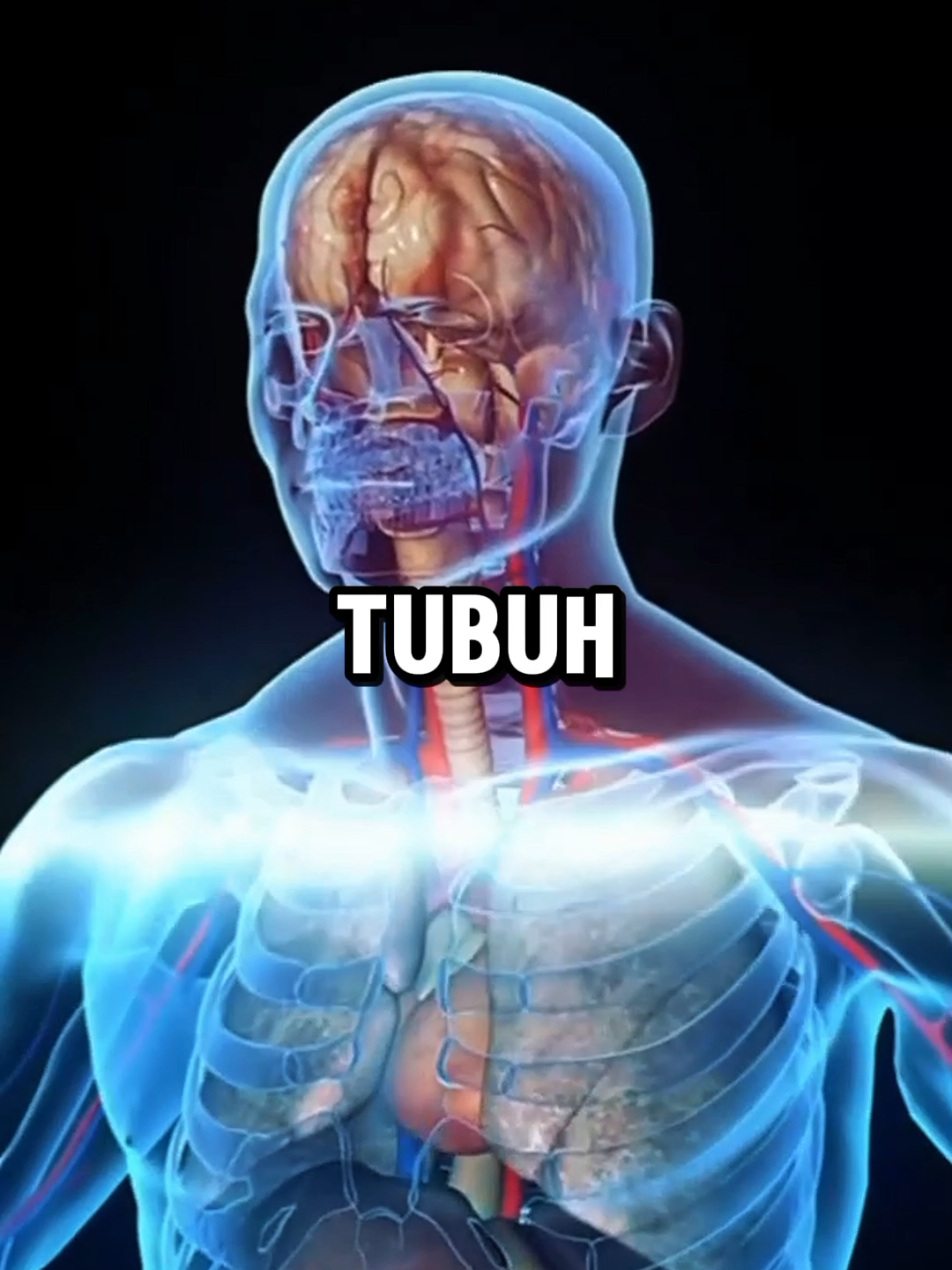 Ini dia beberapa kebutuhan harian tubuhmu...😳 #glowup62 #GlowUp #fyp #tips #healthy #sehat #tutorial 