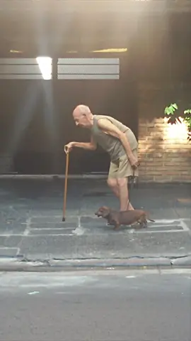 A true testament to the bond between a dog and their human #Dogs #FaithfulFriend #PawfectMatch