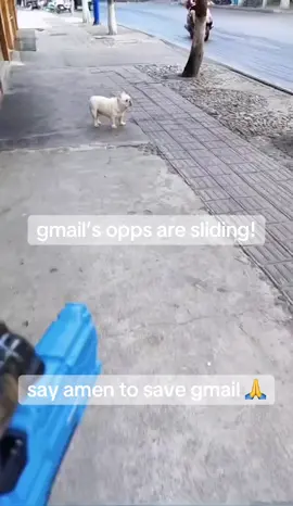 #pibble #gmail #fyp #xyzbca #viralvideo 