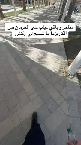 #fyp #explore #جامعة_الامير_سلطان #psu #PSU 