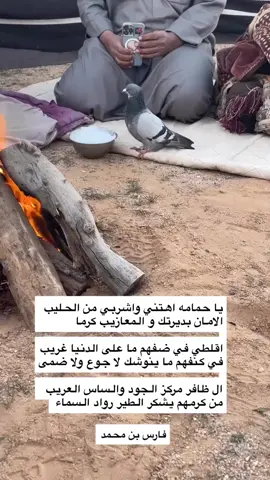 #تصويري #المصارير # الدواسر #اكسبلور 