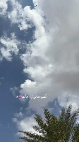 آلُِلُِهـم أمنيآتي وُآن طُآلُِت #اكسبلورexplore #صباح_الخير #الشعب_الصيني_ماله_حل😂😂 #اكسبلور #fyp 