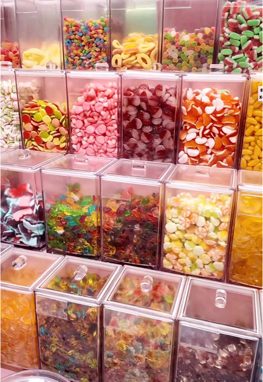 TẾT ĐẾN ĐÂU RÙI CÁC BÁC ƠIII #Pandapẻn #anvatpandapen #fyp #ancungtiktok #tet2025 #LearnOnTikTok 