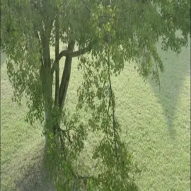 រឿង​មន្តស្នេហ៍​អាមាត្រស្រី83#fyp #foryou #foryoupage #fypシ