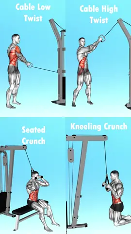 👇 Killer Core Exercises With Cable 🔹