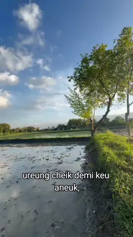 #iburumahtangga #fyp #suasanapedesaan 