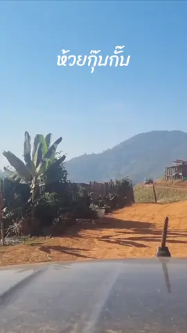 #ห้วยกุ๊บกั๊บ  #ห้วยกุ๊บกั๊บใจ๋ฮักทะเลหมอกโฮมสเตย์  #เชียงใหม่ 