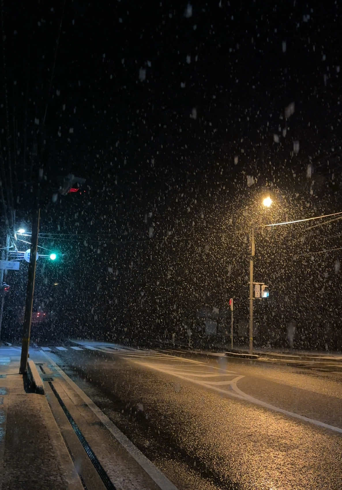 #japan #snow #rain #animequotes #おすすめ #fypシ 