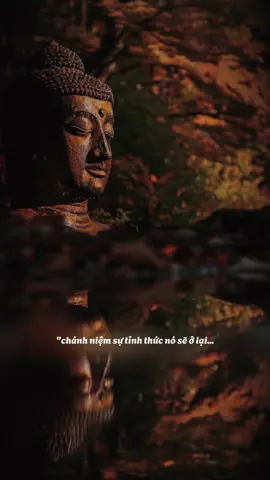 Những khó khăn trong cuộc đời này nó đến rồi sẽ đi #tuetam9519 #tuetamhocphat🍀 #xuhuong #phatphapnhiemmau #nammobonsuthichcamauniphat 