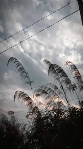 #CapCut Mẫu Capcut - Hlub mav Kuv yeej hlub koj tag li.. #minlumi #minnminhh 