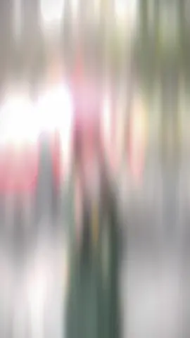 #CapCut Bỏ hết muộn phiền đằng sau.Tự do tự tại cùng nhau ngắm nhìn🖤