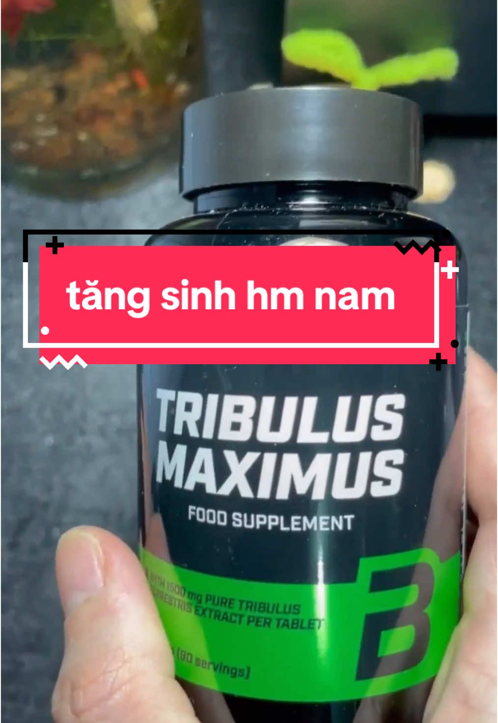 #gym #Workout #Sports #suckhoe 