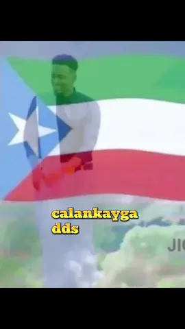 #xasanyare#dhaanto#calankayga#fypシ゚viral🖤tiktok#dhaanto#fyp #fypシ゚viral🖤tiktok #jigjiga_somali_galbeed #jigjiga_somali_galbeed♥️🇸🇴🇬🇶 #dhaanto#fyp#dhaanto#layrics 