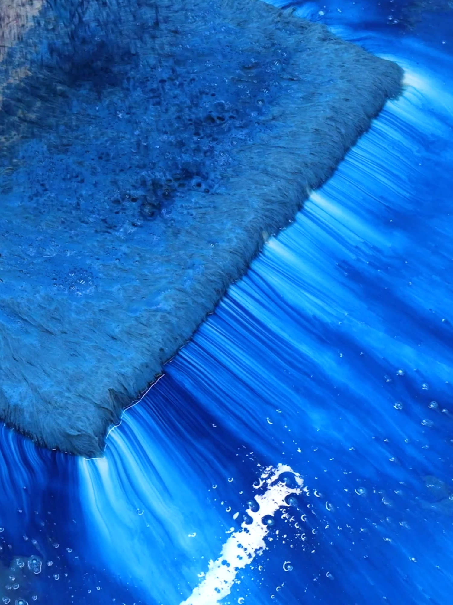 All The BLUE, For All Of YOU! Happy Friday Everyone! Satisfying ASMR Carpet Cleaning. #asmr #carpetcleaning #satisfying #oddlysatisfying #restoration