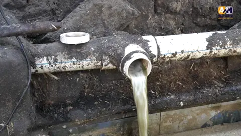 هنا قلعة صناعة العسل الأسود في نجع حمادي#اكسبلور #تيك_توك #الشرقية #المشاهير____التيك___توك #ابوكبيرميديا #اكسبلور_explore #ترند #الشعب_الصيني_ماله_حل😂😂 #أحمد_العوضي #ياسمين_عبد_العزيز #حرم_الكروان #سوزي_الاردنيه🤩 #الفنان_سامح_الصريطي #الفنانة_نشوي_مصطفي #عصام_صاصا_الكروان #حورية_فرغلي #خبيرة_تاروت #بسنت_يوسف #ناهد_السباعي #السويسي