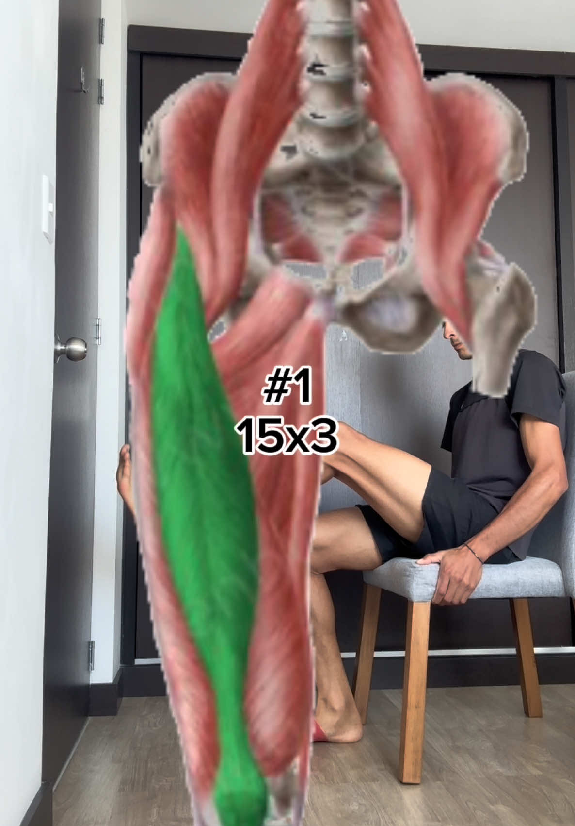 6 ejercicios para fortalecer el recto femoral, estos ejercicios los puedes realizar 3 veces a la semana 