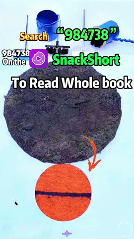 When I opened my eyes again, I found myself back at my own birthday party. I should have been the star of the event, but instead, my father publicly announced that he was officially adopting Beatrice as his daughter.#read #storytime #BookTok #fypviral #foryou #novelmaster #Snackshortl #Novelshort #novelshortclips #Snackshort#984738#realnovel #novabeats#kiss 