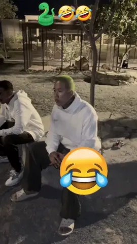 funny sheep 🤣🤣🤣🤣 Trending videos right now 2024 #funnytiktok #funnyviralmemes #funnycats #funnycartoon #tomandjerry #mrbeast #funplace #fun.place4 #snakeprank #snake #hahaha😂😂😂 #laughing #viralvideos #foryoupage❤️❤️ #creatorsearchinsights 