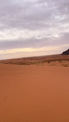 #حايل_حايلنا #الدولة_العظمى🇸🇦 #حائل_الاجمل #الانتشار_السريع_الطائف #اكسبلورexplore_o #شمري_فخرنا #حايلندا #حائل_تيك_توك #اكسبلورexplore_o🤭❤_تصويري #امطار_الخير #شمريه♥ 