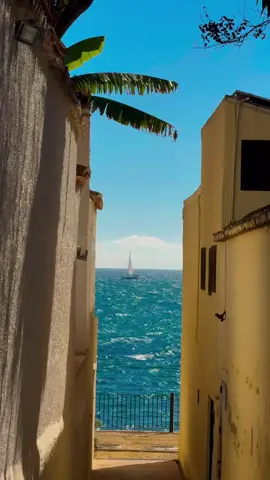 views  🤍 ️ #malaga #málaga #marbella #beach #nature #moody #earthpix #heavenonearth #spaintravel #spain