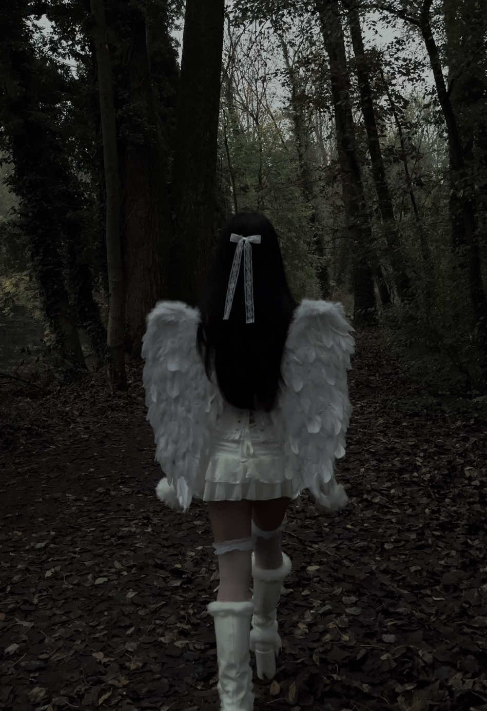 🪽 #angel #angelcore #angelwings #dollcore #dollette #fairy #fairycore #dolletteaesthetic #coquette #coquetteaesthetic #gloomy #gloomydollette #gloomyforest #dreamy #gloomycoquette #ethereal #doll #girlhood #forestaesthetic #forest #mysoul #foru #explore #foryoupagе #aestheticvideos 
