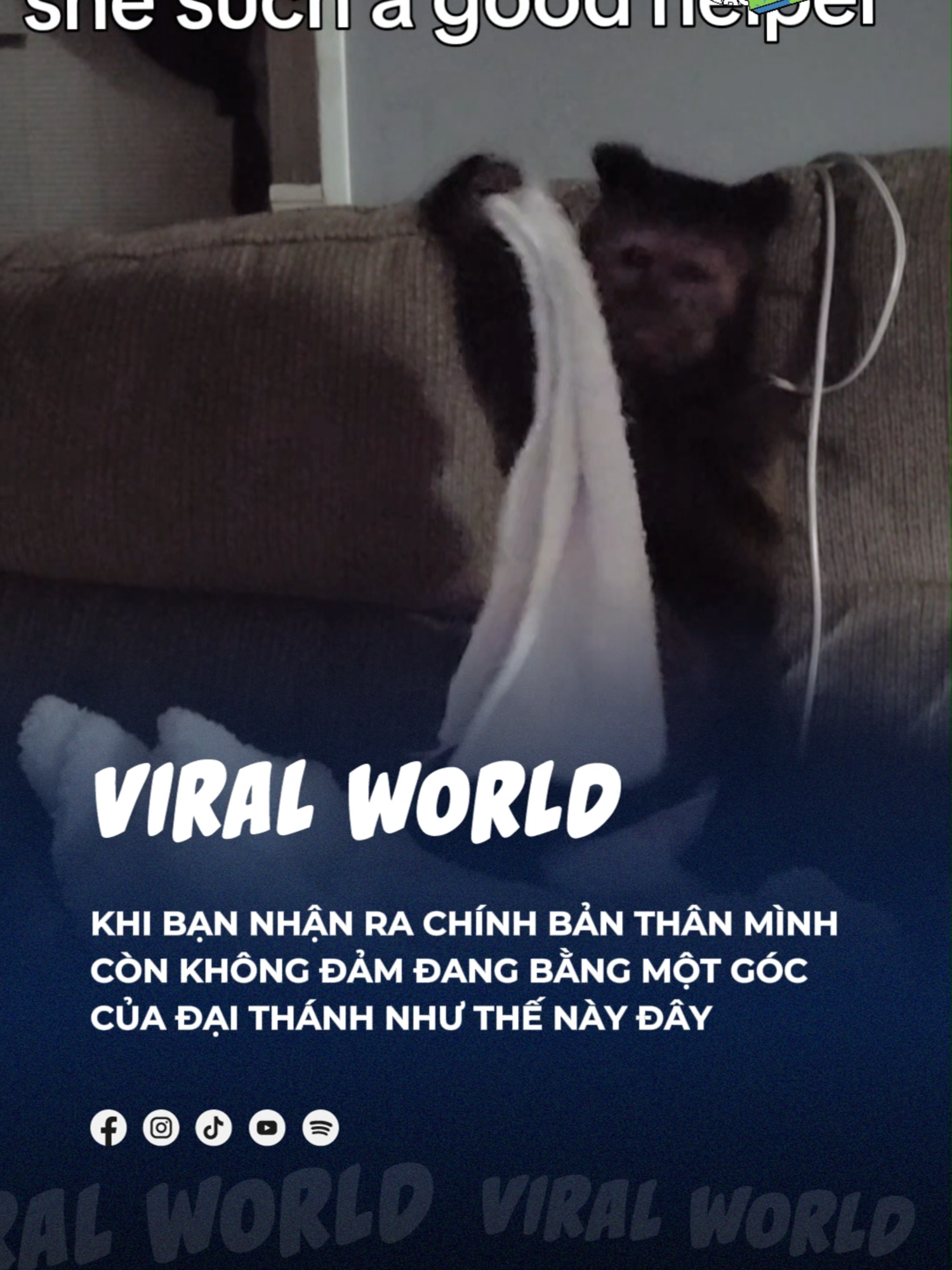 Tự cảm thấy bản thân còn không bằng em nó nữa =))) #beatviralworld #beatnetwork #bnetwork #beatvn #beatoflife