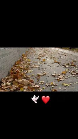 Enséñame como vivir sin ti #luzenlatormenta #luto #duelo #tristeza #dejarir #desdeelcielo #funeral #teextraño #palabrasdeluto 