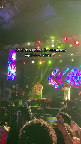 #pipepelaez #vallenato #felipepelaez #parati #amor 