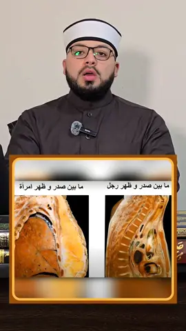 الرد على شبهة { الصلب والترائب ووجود خطأ علمي في القرءان حول تدفق الماء منهما } 🟨 #محمود_نصار #تفسير_القرءان_بالعامية #القران_الكريم #اكسبلور #الله 