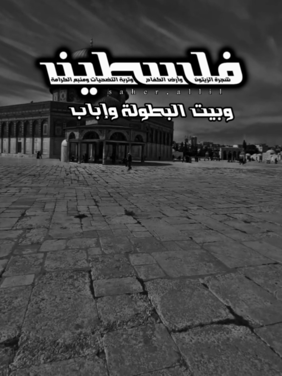 سلام لأرض خلقت للسلام .. ومارأت يوماً سلاماً..!✌️🥀🍂 . . . #CapCut #fyp #foruyou #foryoupag #viralvideotiktok #creatorsearchinsights #اخر_اشي_نسختو💭🥀 #محظور_من_الاكسبلور🥺  #حسن_العيدروس #عامر_الخوذيري @حسن العيدروس 