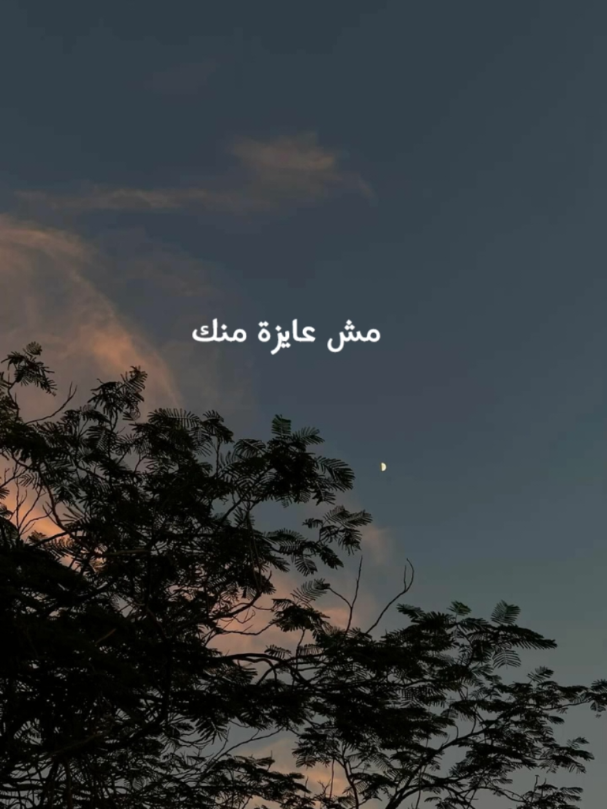 #viral #fyp #foryoupage #تيك_توك #حالات_واتس #اكسبلور #اليسا #حبة_اهتمام 