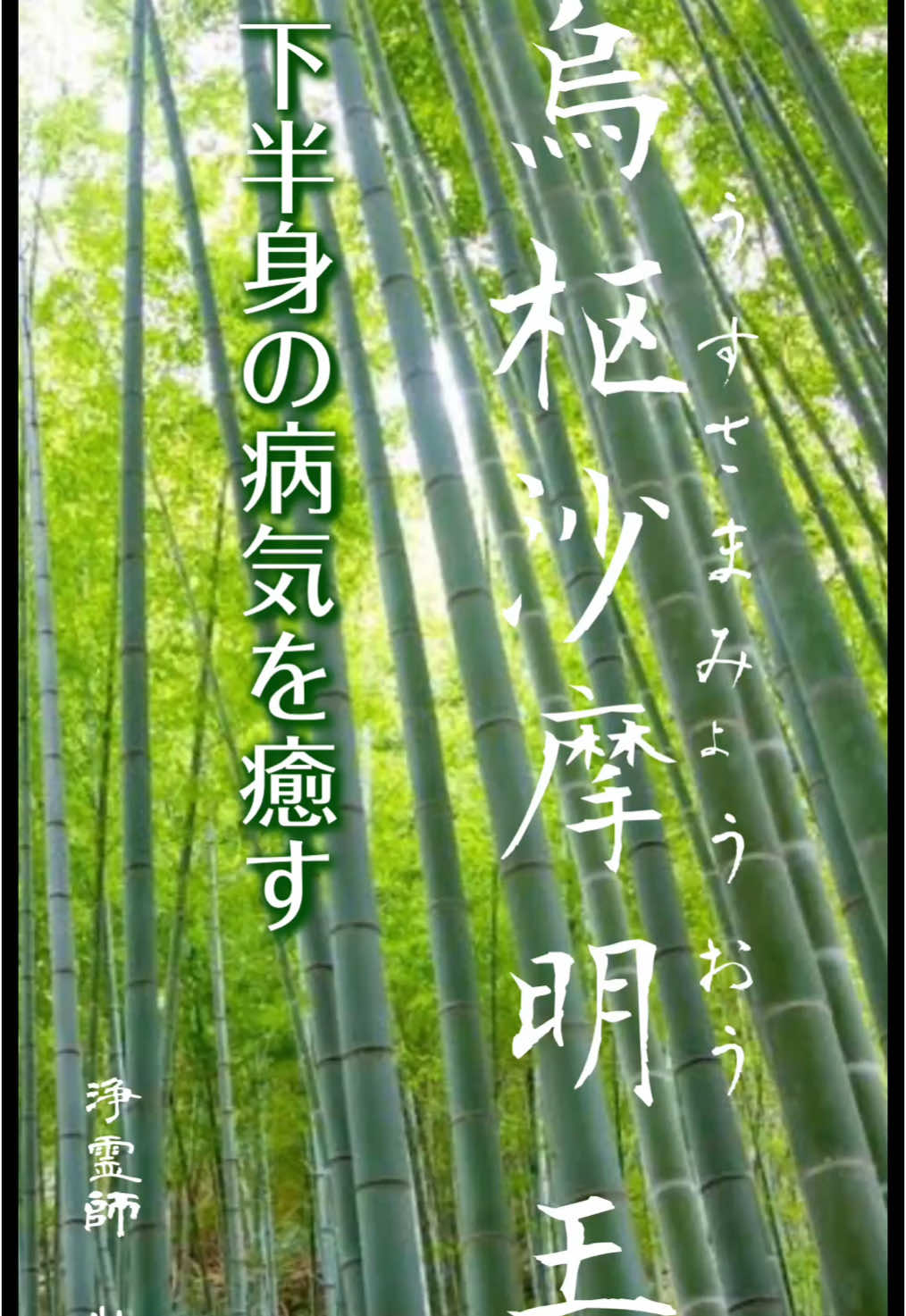 烏枢沙摩明王（うすさまみょうおう）は真言宗、天台宗、禅宗、日蓮宗などで仰され、トイレの神様として有名で、天台宗では五大明王の一尊です。 #烏枢沙摩明王 #火の神 鳥枢沙摩明王はサンスクリット語でウッチュシュマ、或いはアグニと呼ばれた古代インドの炎の神であり、炎で不浄を焼き尽くして清浄にすることから、仏教に採り入れられた後も「不浄潔金剛」や「火頭金剛」などと呼ばれて世の中の全ての穢れや悪を焼き尽くす明王として仰されています。 #トイレの神様 #下半身守護 #御霊の浄化   