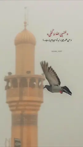 و من همه چیز را به تو سپردم یارب…! مهمان ما باش …❤️🕊 . . . ‏@harfe__dell_12  ‏@harfe__dell_12  . . . . . . #خدا#خدالل#اللهشق#عشقلن#دلنوشتهتن#متنرف#حرف_دلکس#تکست_خاصکس#تکستنگ#انگیزشی #اکسپلور_تیک_تاک #explore 