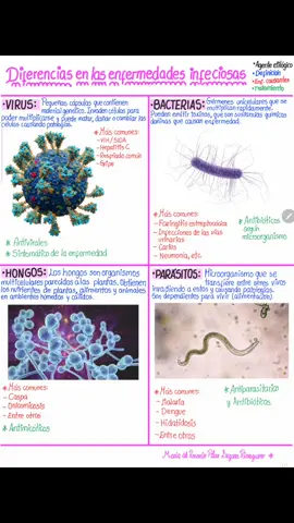 Diferencias de las enfermedades infecciosas #virus #bacterias #hongos #parasitos #enfermedadesinfecciosas #fyppppppppppppppppppppppp #apuntesdemedicina #pilarapuntesmedicos #parati #fyp #estudiantedemedicina #medicina 