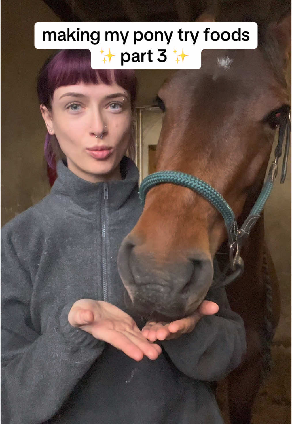 who is this and what have they done with Mocha..😳 #equestrian #equine #horsegirl #horsetok #horsesoftiktok #horsebackriding #equestrianlife #equestrianvibes #foryou #abcxyz #fyp 